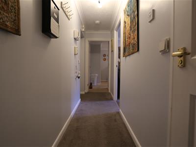 Picture 11